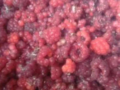 maline