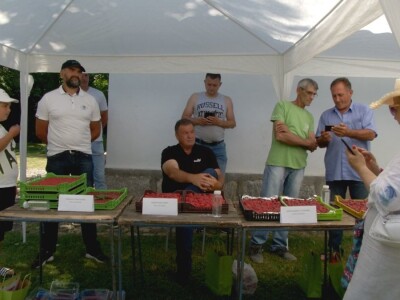 Maline - crveno zlato