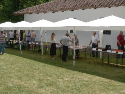 Maline - crveno zlato