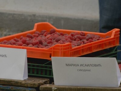 Maline - crveno zlato