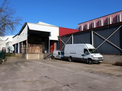 Maline i kupine sa planinskih srebreničkih plantaža stigle do Čilea i Kanade