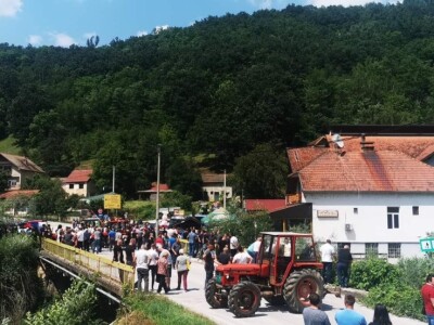 Maline i trešnje