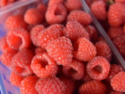 Maline sa Limanske pijace