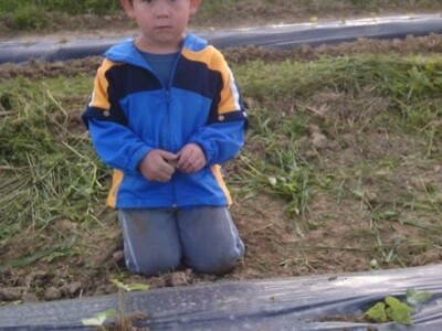 OPG Rosman iz Pakraca OPG Rosman iz Pakraca