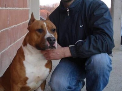 Malo prijedorsko životinjsko carstvo