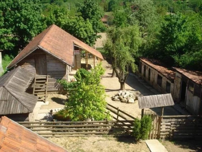 Malo prijedorsko životinjsko carstvo