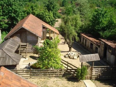 Malo prijedorsko životinjsko carstvo