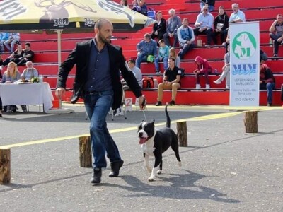 Malo prijedorsko životinjsko carstvo