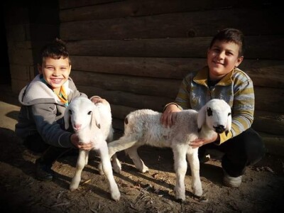 Malo prijedorsko životinjsko carstvo