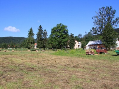 Malonogometni humanitarni turnir "Na njivi"