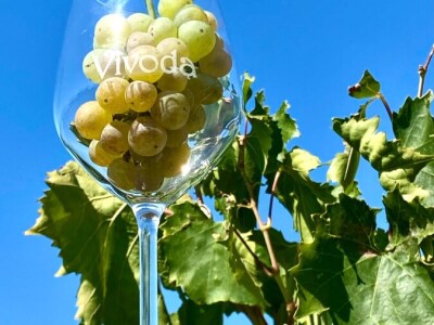 Poljoprivredni obrt Vivoda