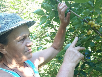 Kada se priroda poigra Kada se priroda poigra