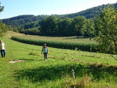 Mala oaza mira Mala oaza mira