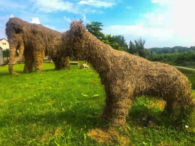 Mladi kuhar s vizijom - pokrenuo je OPG, osmislio brend i povukao bespovratnih 10 000 Eura