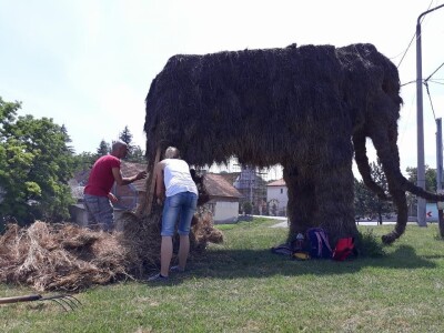 Mladi kuhar s vizijom - pokrenuo je OPG, osmislio brend i povukao bespovratnih 10 000 Eura