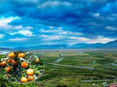 Mandarine simbol doline Neretve