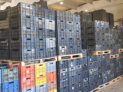 Mandarine u Neretvanskom kraju Mandarine u Neretvanskom kraju