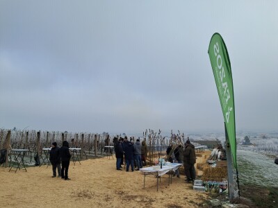 Mandićevac Vincekovo 2026