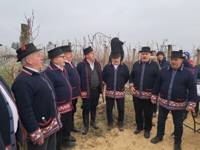 Mandićevac Vincekovo 2026