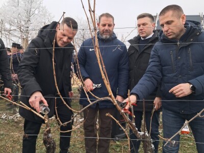 Mandićevac Vincekovo 2026