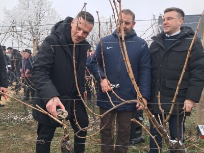 Mandićevac Vincekovo 2026