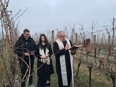 Mandićevac Vincekovo 2026