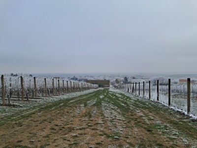 Mandićevac Vincekovo 2026