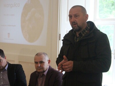 Mangulice - okrugli stol Mangulice - okrugli stol