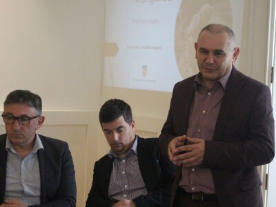 Mangulice - okrugli stol Mangulice - okrugli stol