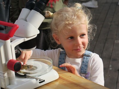 Manifestacija - Dani orade i kalamara u Ližnjanu