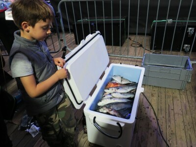 Manifestacija - Dani orade i kalamara u Ližnjanu