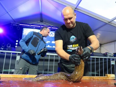 Manifestacija - Dani orade i kalamara u Ližnjanu