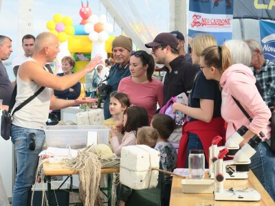 Manifestacija - Dani orade i kalamara u Ližnjanu