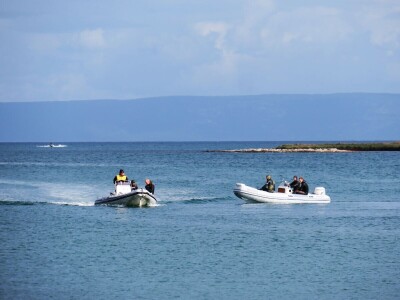 Manifestacija - Dani orade i kalamara u Ližnjanu