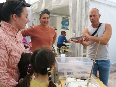 Manifestacija - Dani orade i kalamara u Ližnjanu