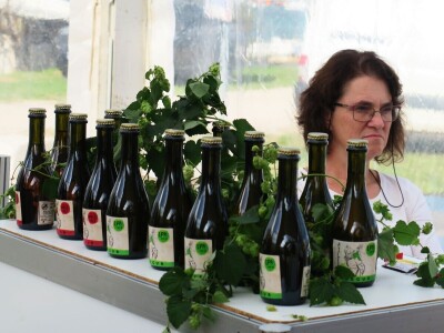 Manifestacija - Dani orade i kalamara u Ližnjanu