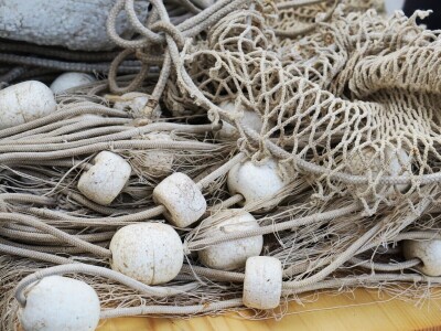 Manifestacija - Dani orade i kalamara u Ližnjanu