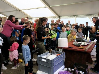 Manifestacija - Dani orade i kalamara u Ližnjanu
