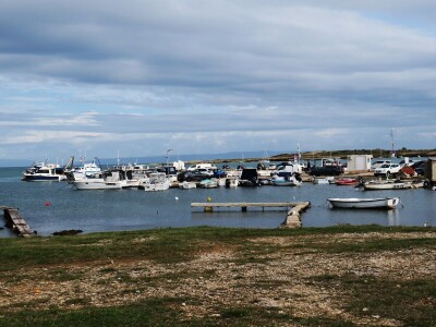 Manifestacija - Dani orade i kalamara u Ližnjanu