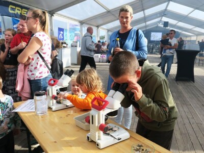 Manifestacija - Dani orade i kalamara u Ližnjanu