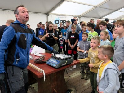 Manifestacija - Dani orade i kalamara u Ližnjanu