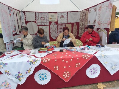 Manifestacija "Dunavski vez"