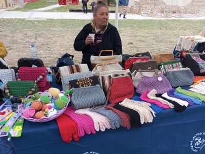 Manifestacija "Dunavski vez"