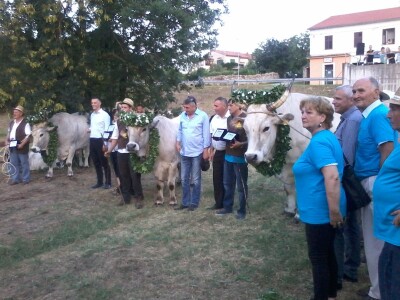 Manifestacija Jakovlja uz smotru istarskih volova