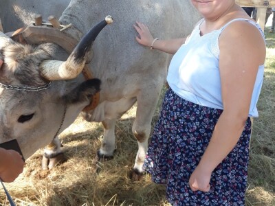 Manifestacija Jakovlja uz smotru istarskih volova