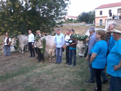 Manifestacija Jakovlja uz smotru istarskih volova