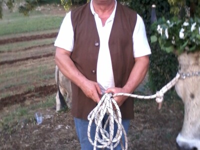 Manifestacija Jakovlja uz smotru istarskih volova