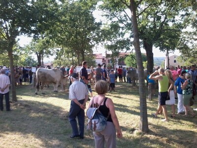 Manifestacija Jakovlja uz smotru istarskih volova