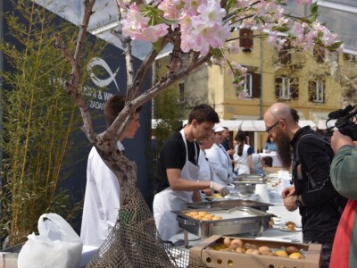 Manifestacija Tuna sushi u Zadru