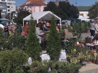 manifestacije Cvetna pijaca i Noćni bazar manifestacije Cvetna pijaca i Noćni bazar